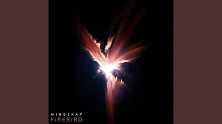 firebird original mix 