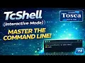 Tosca Training TCShell In Tosca Interactive Mode