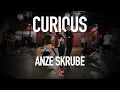 Download Lagu Hayley Kiyoko- Curious | Choreography by Anze Skrube ft. Hayley Kiyoko