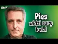 Lagu Robert Bernatowicz: Czy PSY MAJĄ DUSZĘ? Czy kosmici mają pupile?