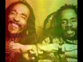 Israel Vibration - Vultures