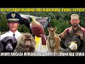 Download Lagu KOLEKSI HEWAN DILINDUNGI DIBELAKANG RUMAH JENDRAL SUTIYOSO AVIARY RAKSASA BERUANG MADU MONYET LANGKA