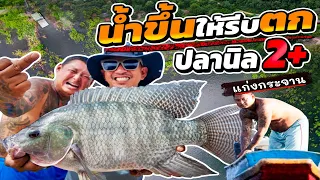 น้ำขึ้นให้รีบตก ปลานิล2+ แก่งกระจาน