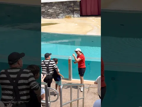 #youtubeshorts