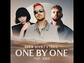 One By One (feat. Oaks) (Extended Mix)