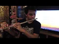 SUNFLOWER by Post Malone flute cover