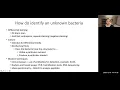 ID Unknown Bacterium Labster Intro last lab lab 23