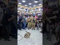 Download Lagu 0581680328#new trending tiktok nagin dance filter#Abdul Ghafoor#Muhammad_Shakoor