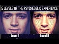 5 Levels of Perception of the Psychedelic Experience