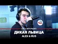Download Lagu 🅰️ Alex \u0026 Rus - Wild Lioness (LIVE @ Autoradio) Russia