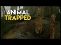 Trapping an ANIMAL w Crafted Trap Green Hell Gameplay Part 9