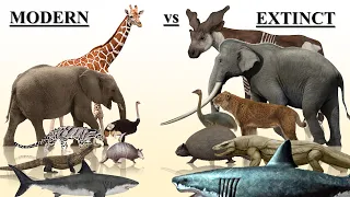 Download Prehistoric vs Modern Ancestor Animals Size Comparison MP3