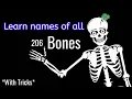 Human bones - Learn all 206 bones with fun and simple tricks