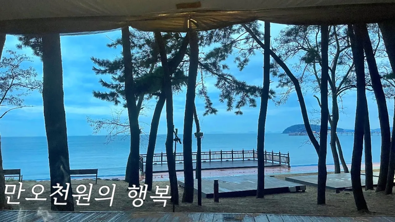 애견동반 캠핑 | 가성비갑 만오천원 오션뷰🌊 | 백컨트리 쉘터 2인 좌식 세팅 | 그리들 삼합&야채전에 막걸리 | 용두해수욕장 숲속야영장 | 동백관 썸네일