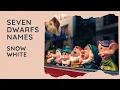 The Seven Dwarfs Names in Snow White Their Personalities