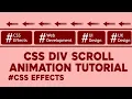 CSS Div Scroll Animation Tutorial