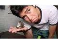 Channel
