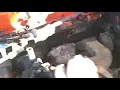 250 Inline 6 gasket replacement - part one