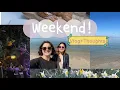 Vlog Weekend Trip to Long Island Quarter End Corporate lingo we love Thoughts Plants and Doggos