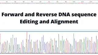 Forward and Reverse DNA Sequence Editing and Alignment