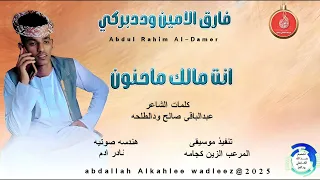 فارق الامين وددبركي اغنية انت مالك ماحنون New 2025 