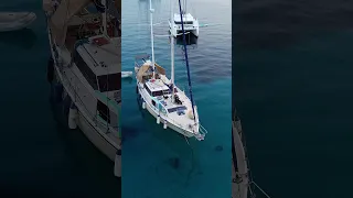 Arrivé à Porquerolles au levé du jour quand tout le monde dort 🩵🌙