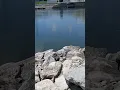 Truman Dam and Recreation Park