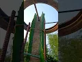 Download Lagu Dragon fruit | Dragon Plant on terrace #youtubeshorts  #shorts