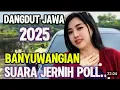 Download Lagu Dangdut banyuwangian 2025 suara jernih poll lur enak tenan#triah