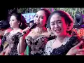 Download Lagu OREK OREK - WALANG KEKEK - JARAN DOR // TAYUB GIYANTINI CS // ARUM LARAS GROBOGAN