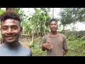 Download Lagu SILVER CLOUD BRIEFING AND WELCOME TO KUIAWA ISLAND, PAPUA NEW GUINEA