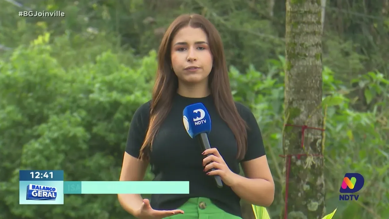 Itapoá: tartaruga marinha é encontrada presa em rede de pesca ilegal durante uma fiscalização