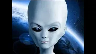 حصريا مزمار استاز زمبوخ كتكوت ومحمد اوشى هيكسر ديجهات مصر توزيع هيصة 