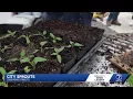 Waiting for the weather conditions Freeze warning delays planting at Omaha urban farm