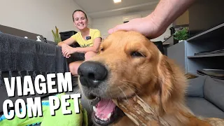 TUDO O QUE EU LEVO PRA VIAJAR COM MEU CACHORRO!