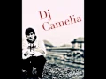 Download Lagu Dj Camelia - Despite a loud silence 2015