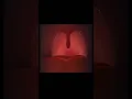 INSIDE THORAT ESOPHAGUS VOCAL CORDS