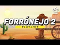 FORRÓNEJO 2 - PLAYLIST 2025 [Prod. Ariel Skinny]