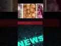 Breaking Belize News Top News Stories December 21st 2021 BBN