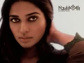 Download Lagu Nadia Ali - Love Story (Sultan \u0026 Ned Shepard remix)