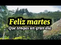 Happy Tuesday God bless you Nice good morning message