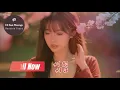 EZ Foot Massage Massage spa in Houston