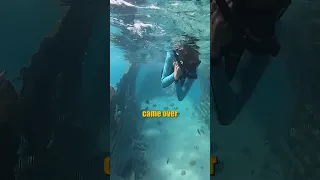 Pablo Escobar’s Crashed plane in the Bahamas