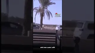 منصور حواس الرويلي دندنها