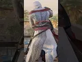 Download Lagu One of My Favorite Stealth Kills Animations in AC Mirage