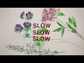 Jackson Wooten - Slow Slow Slow (Official Lyric Video)
