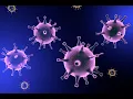 Evolution Part 4 of 7 Evolutionary Arms Race PBS Documentary 720p