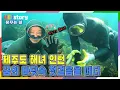 New Year s Challenge Jeju Island Haenyeo Intern Taking the First Step into the Sea Aired on