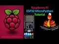 ESP32 MicroPython Tutorial with Raspberry Pi