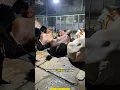 Pentingnya Pemasangan Alas pada Kandang
